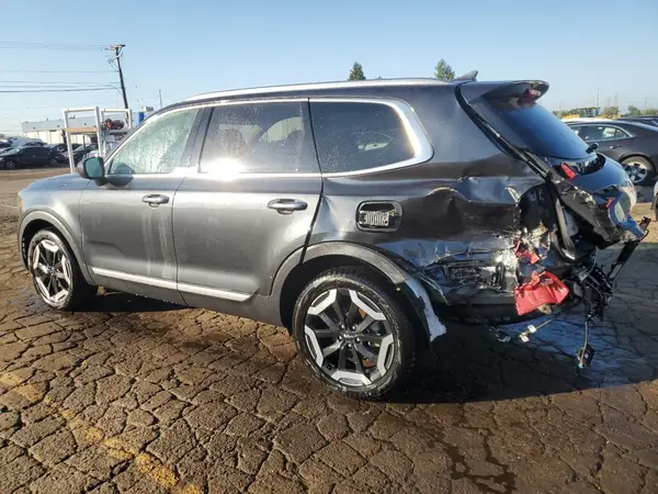 5XYP6DGC4RG455493 2024 KIA TELLURIDE - Image 2