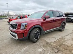 5XYP6DGC4RG488574 2024 KIA TELLURIDE