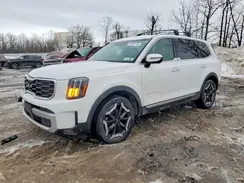 5XYP6DGC4RG502604 2024 KIA TELLURIDE