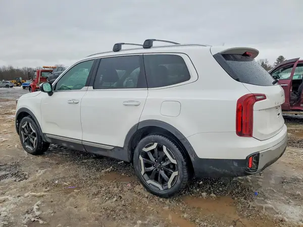5XYP6DGC4RG502604 2024 KIA TELLURIDE - Image 2