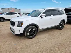 5XYP6DGC4RG534646 2024 KIA TELLURIDE