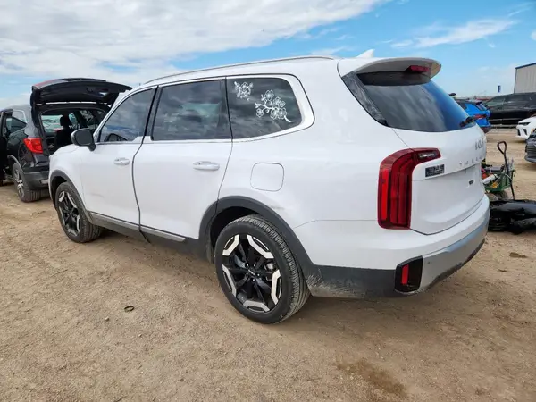 5XYP6DGC4RG534646 2024 KIA TELLURIDE - Image 2