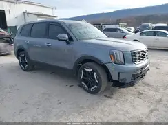 5XYP6DGC4SG603812 2025 KIA TELLURIDE