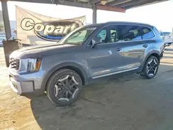 5XYP6DGC4SG690160 2025 KIA TELLURIDE