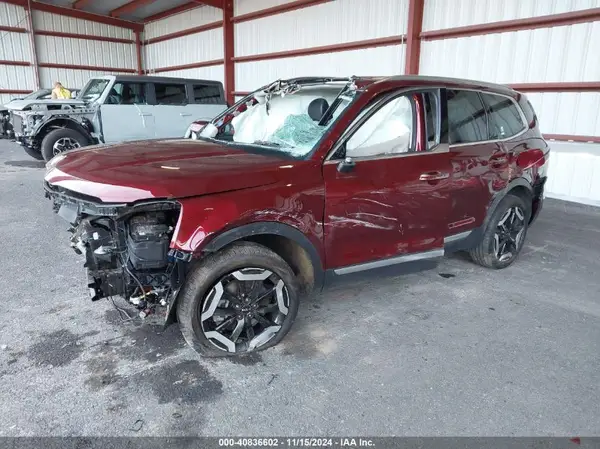 5XYP6DGC5RG412510 2024 KIA TELLURIDE - Image 2