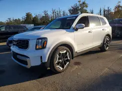 5XYP6DGC5RG486039 2024 KIA TELLURIDE
