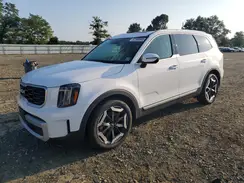 5XYP6DGC5RG488213 2024 KIA TELLURIDE