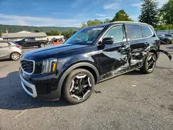 5XYP6DGC5RG492035 2024 KIA TELLURIDE