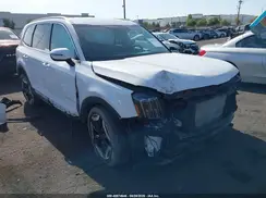 5XYP6DGC5RG518732 2024 KIA TELLURIDE