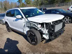5XYP6DGC5RG522523 2024 KIA TELLURIDE