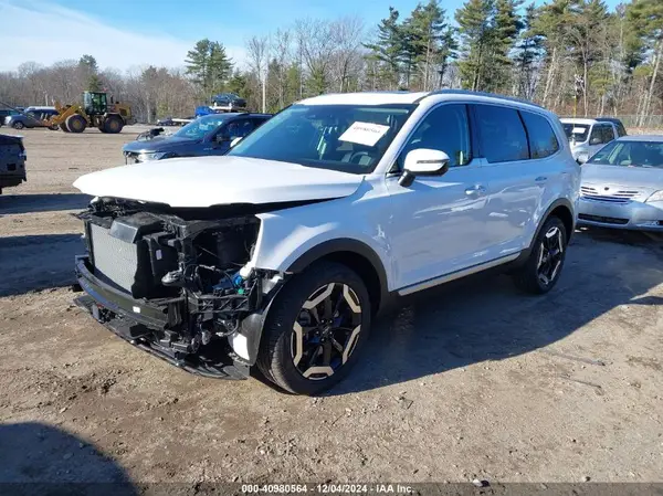 5XYP6DGC5RG522523 2024 KIA TELLURIDE - Image 2