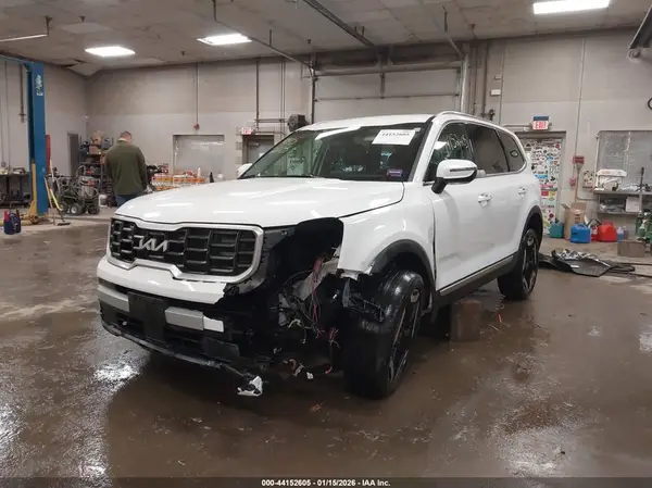5XYP6DGC5RG536308 2024 KIA TELLURIDE - Image 2