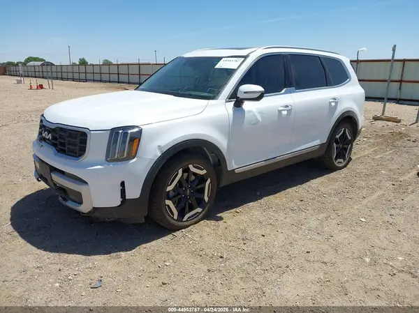 5XYP6DGC5RG557546 2024 KIA TELLURIDE - Image 2