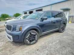 5XYP6DGC5RG559541 2024 KIA TELLURIDE
