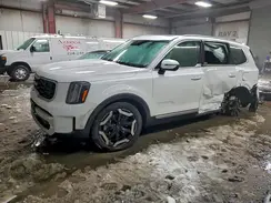 5XYP6DGC5SG599253 2025 KIA TELLURIDE