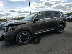 5XYP6DGC5SG602569 2025 KIA TELLURIDE