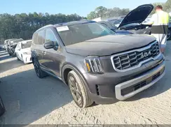 5XYP6DGC5SG684867 2025 KIA TELLURIDE