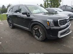 5XYP6DGC5SG710674 2025 KIA TELLURIDE