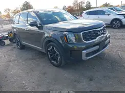5XYP6DGC6PG406499 2023 KIA TELLURIDE