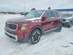 5XYP6DGC6RG413004 2024 KIA TELLURIDE