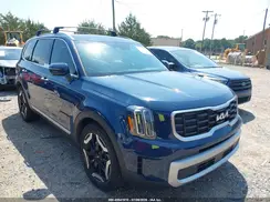 5XYP6DGC6RG431583 2024 KIA TELLURIDE