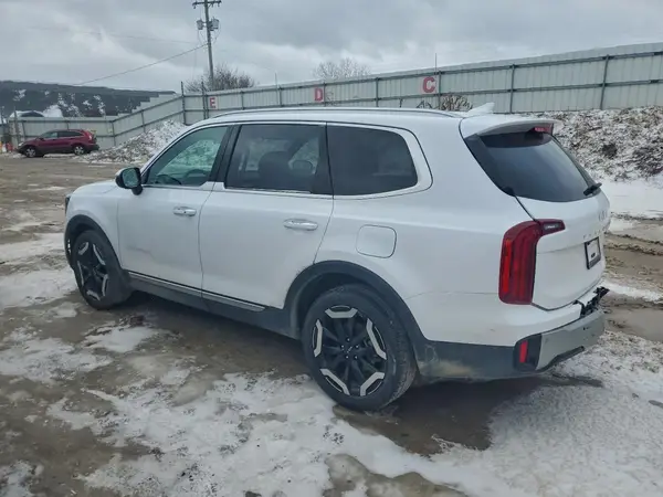 5XYP6DGC6RG478872 2024 KIA TELLURIDE - Image 2
