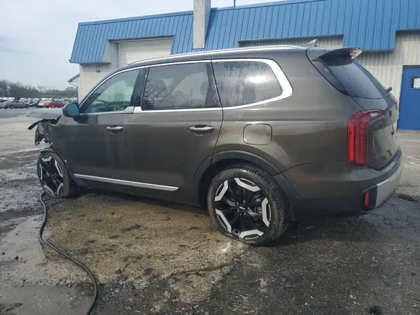 5XYP6DGC6RG487698 2024 KIA TELLURIDE - Image 2