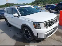 5XYP6DGC6RG488639 2024 KIA TELLURIDE