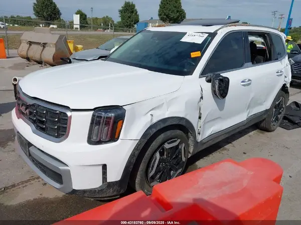 5XYP6DGC6RG488639 2024 KIA TELLURIDE - Image 2