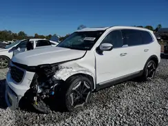 5XYP6DGC6RG491461 2024 KIA TELLURIDE