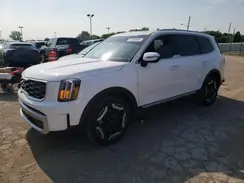 5XYP6DGC6RG493694 2024 KIA TELLURIDE