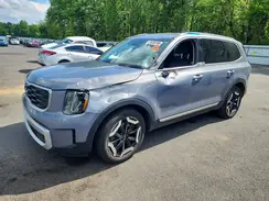 5XYP6DGC6RG502698 2024 KIA TELLURIDE