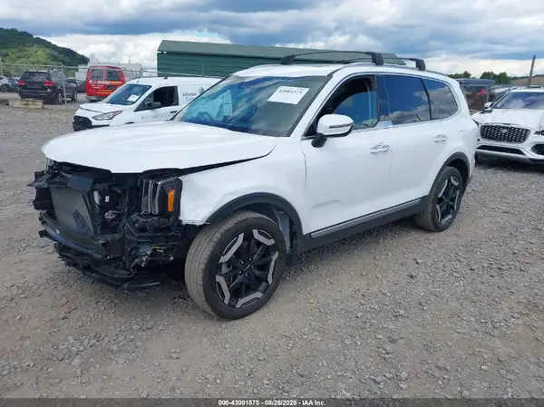 5XYP6DGC6RG504824 2024 KIA TELLURIDE - Image 2
