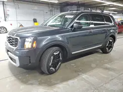 5XYP6DGC6RG529156 2024 KIA TELLURIDE