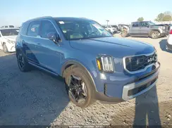 5XYP6DGC6RG541663 2024 KIA TELLURIDE
