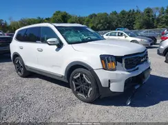 5XYP6DGC6RG545857 2024 KIA TELLURIDE