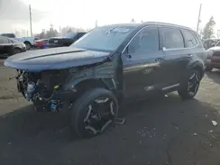 5XYP6DGC7RG461546 2024 KIA TELLURIDE