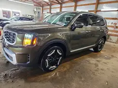 5XYP6DGC7RG496832 2024 KIA TELLURIDE