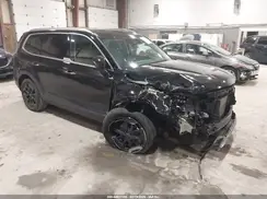 5XYP6DGC7RG509613 2024 KIA TELLURIDE