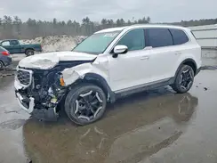 5XYP6DGC7RG544863 2024 KIA TELLURIDE