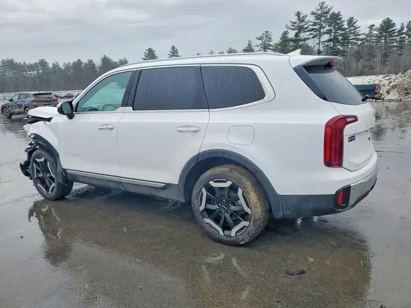 5XYP6DGC7RG544863 2024 KIA TELLURIDE - Image 2