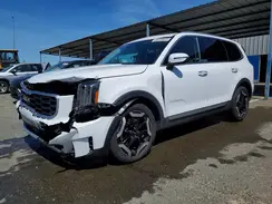 5XYP6DGC7SG592062 2025 KIA TELLURIDE