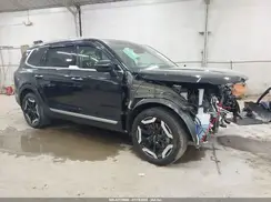 5XYP6DGC7SG603741 2025 KIA TELLURIDE