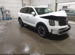 5XYP6DGC7SG638909 2025 KIA TELLURIDE