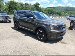 5XYP6DGC7SG664717 2025 KIA TELLURIDE