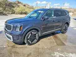 5XYP6DGC7SG684028 2025 KIA TELLURIDE