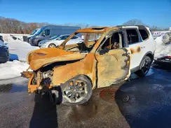 5XYP6DGC7SG692419 2025 KIA TELLURIDE