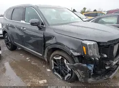 5XYP6DGC7SG694784 2025 KIA TELLURIDE