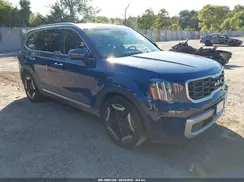 5XYP6DGC8PG403488 2023 KIA TELLURIDE