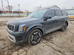 5XYP6DGC8RG445162 2024 KIA TELLURIDE